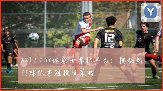 wx17 com体彩世界杯平台：揭秘热门球队夺冠投注策略