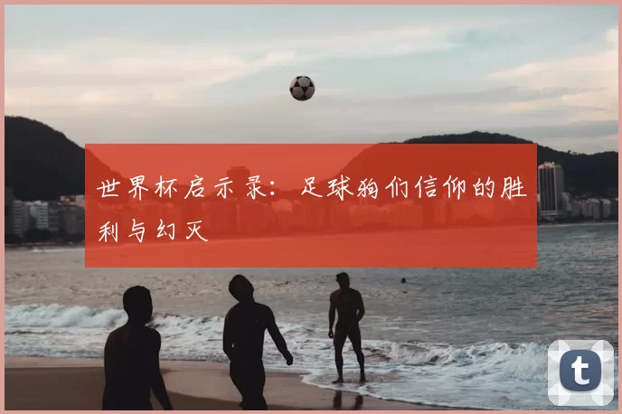 世界杯启示录：足球狗们信仰的胜利与幻灭
