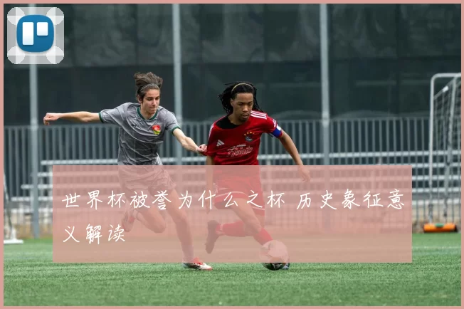 世界杯被誉为什么之杯 历史象征意义解读