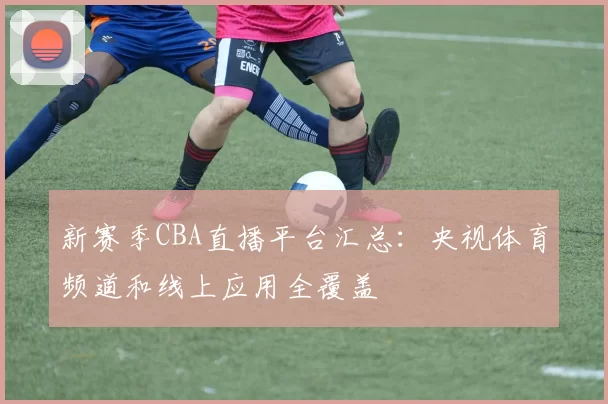新赛季CBA直播平台汇总：央视体育频道和线上应用全覆盖