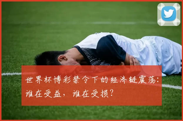世界杯博彩禁令下的经济链震荡：谁在受益，谁在受损？
