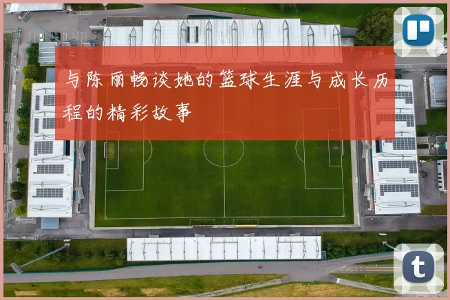 与陈丽畅谈她的篮球生涯与成长历程的精彩故事
