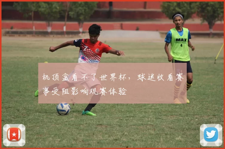 机顶盒看不了世界杯，球迷收看赛事受阻影响观赛体验